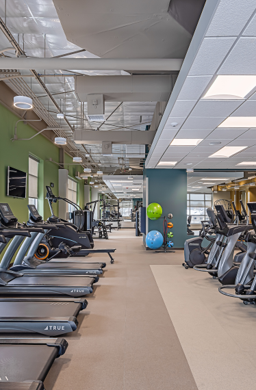 Cardio 2