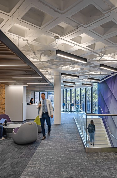 SIU School of Medicine Commons