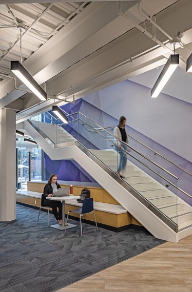 SIU School of Medicine Commons