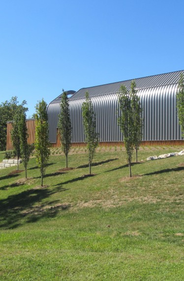 Aronson Fine Arts Center at Laumeier Sculpture Park