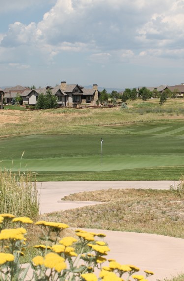 Harmony Subdivision