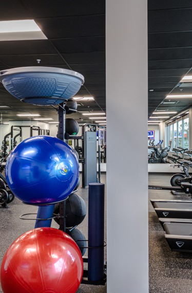 GYM