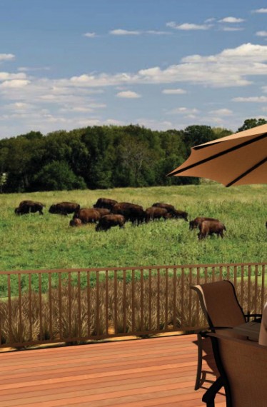 Wildlife Prairie Park Lodging Master Plan