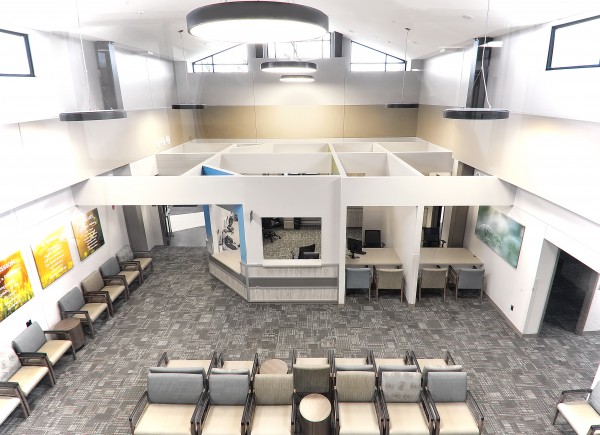 Chestnut Medical Lobby Overview