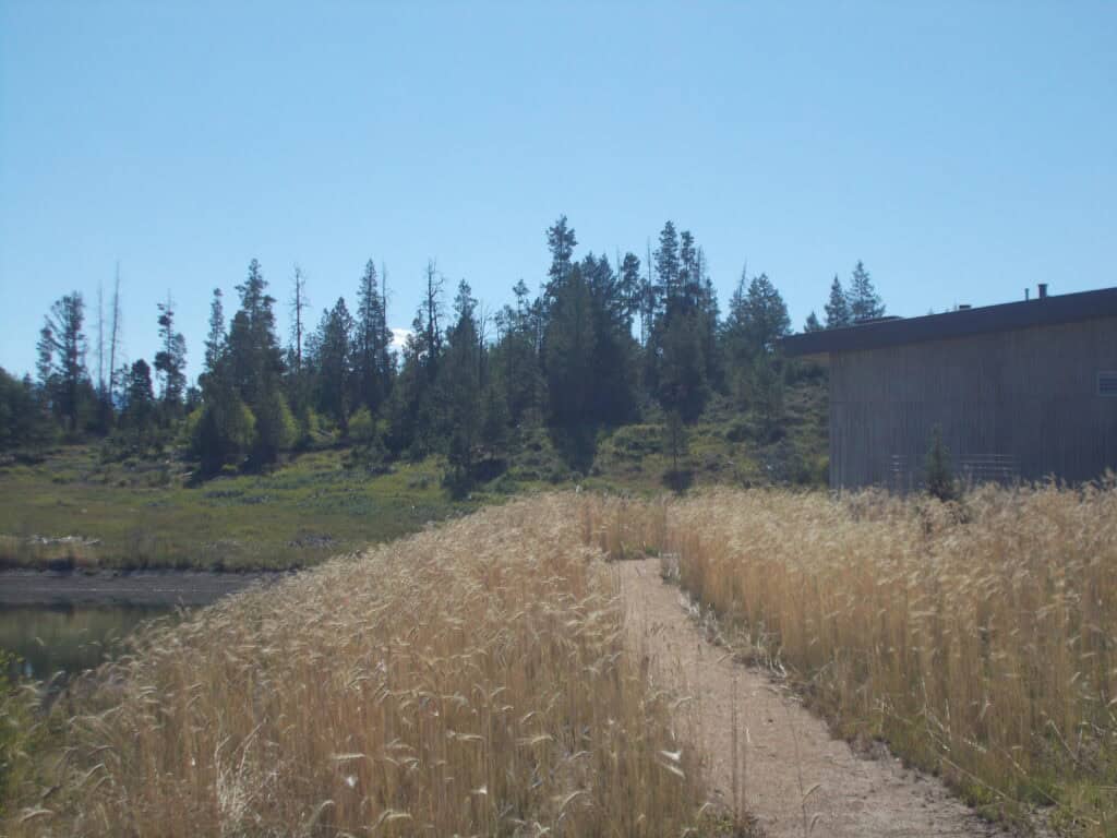 DSCN0108