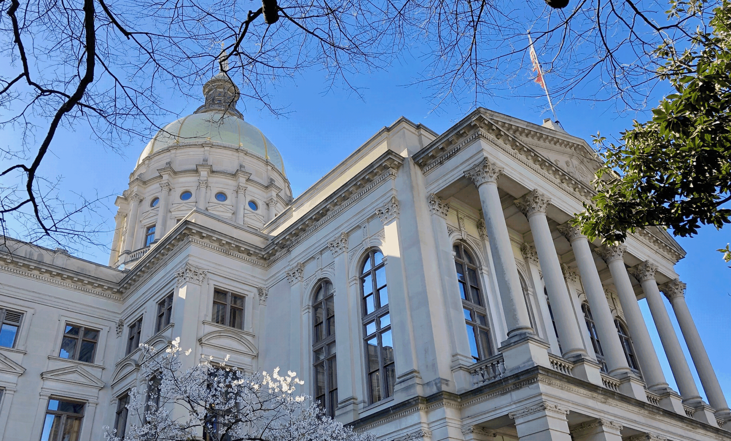 Georgia State Capitol Building Renovation Hydronic Investigation