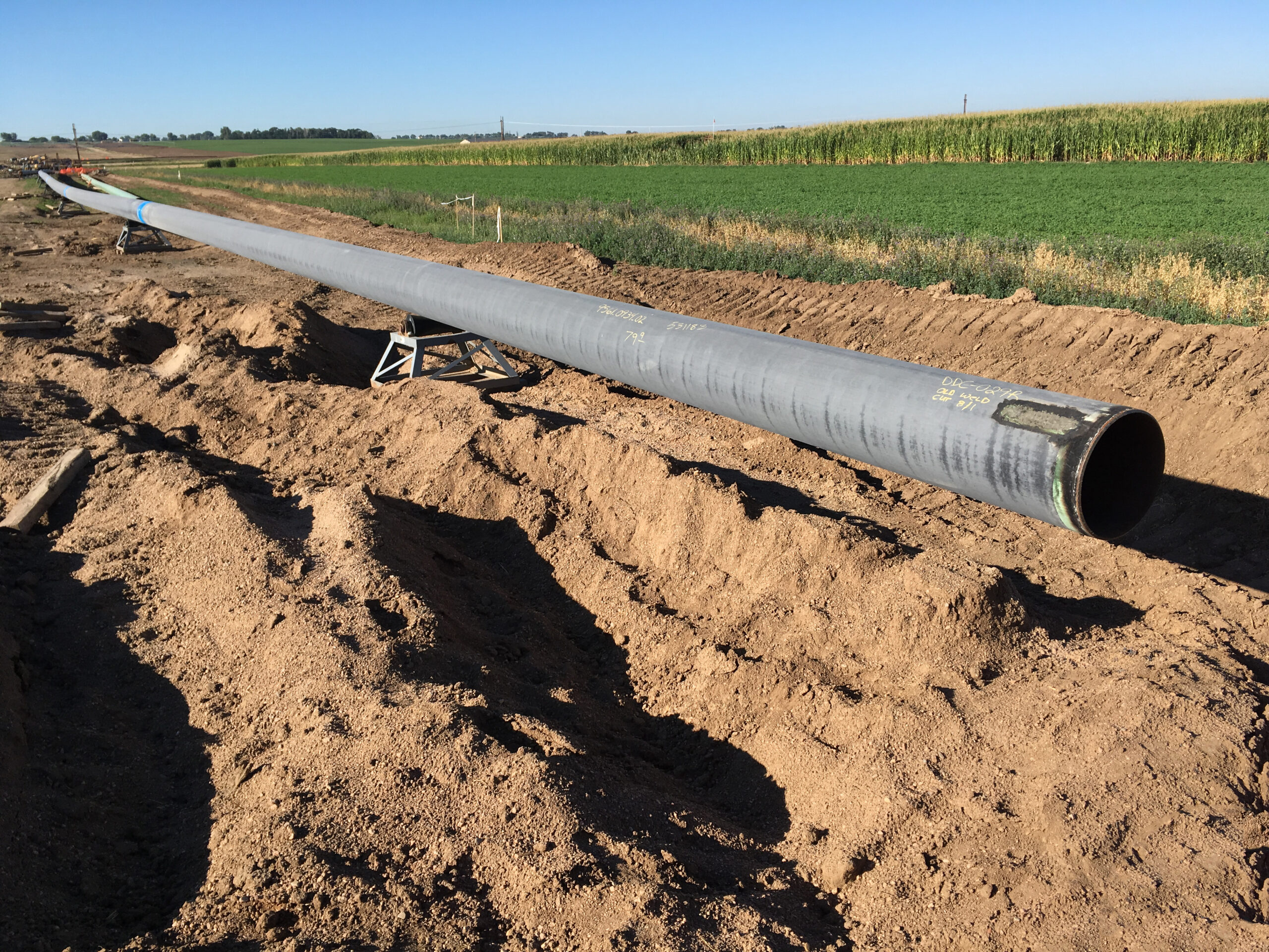 Saddlehorn Pipeline Company, LLC Carr Connector Pipeline