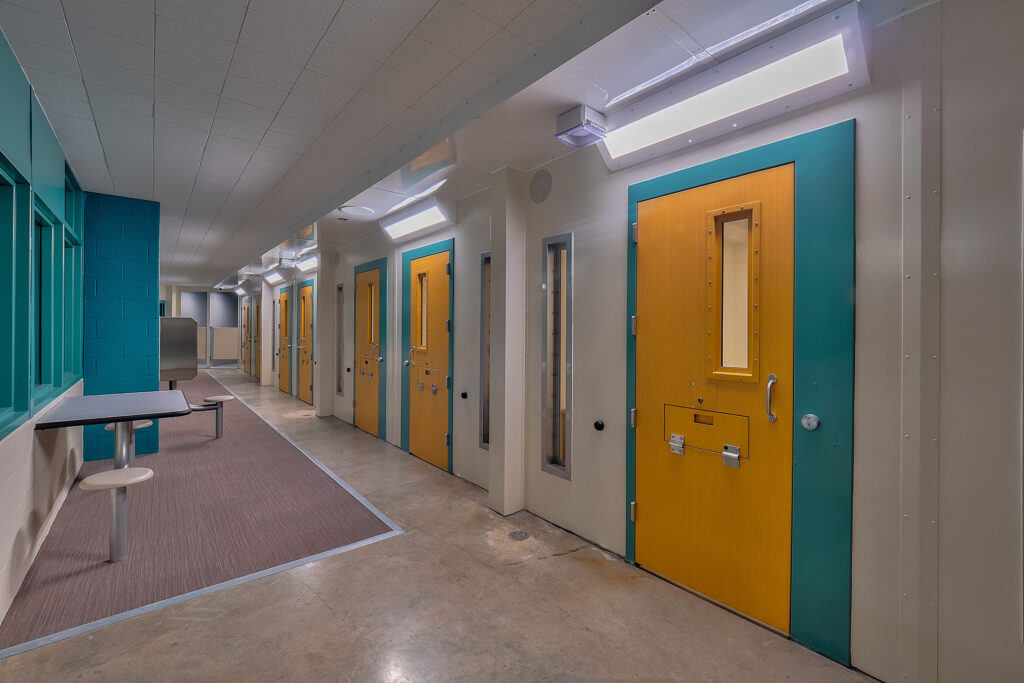 Mental Health Services Drive Jail Expansion slide